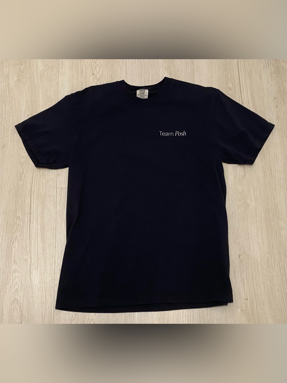 Team Posh PoshFest 2025 Comfort Colors T-Shirt Black Mens Large Tech Apparel